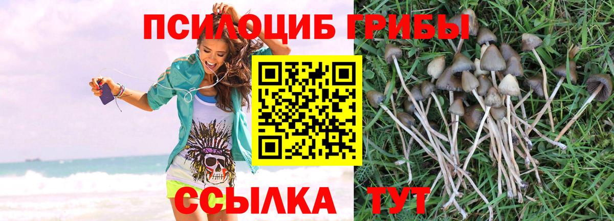 Галлюциногенные грибы Magic Shrooms Ковров